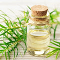 Tea tree olje